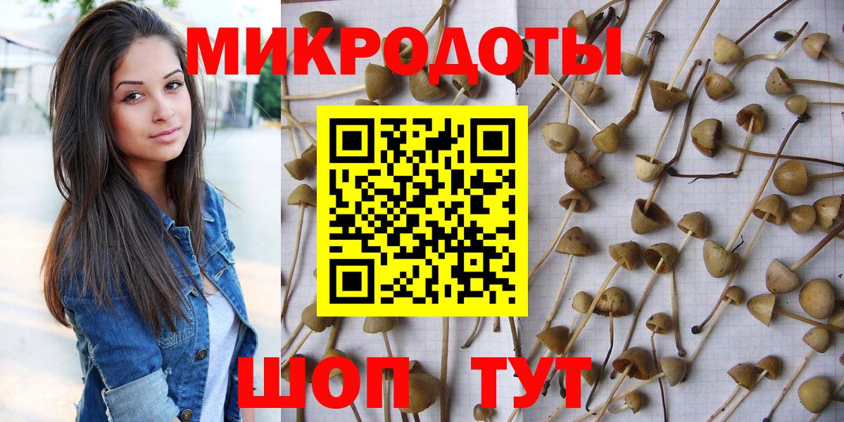 Псилоцибиновые грибы Cubensis  Вход с VPN  цены   Строитель 